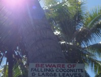 fiji1