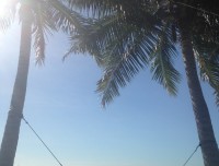 fiji4