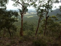 huntervalley1