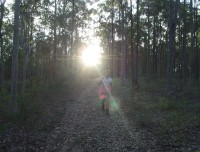 huntervalley11