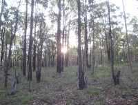 huntervalley12
