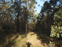huntervalley13
