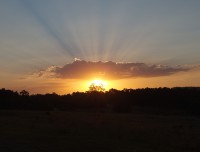 huntervalley17