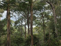 huntervalley3