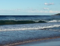 narabeen5