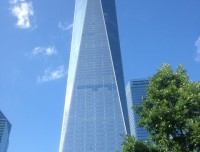 NY 7