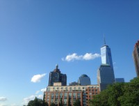 NY 8