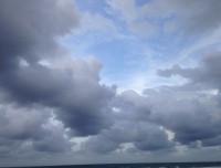 Noosa1