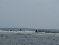 Sylt 4