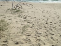 byronbay1