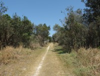 byronbay3