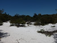 byronbay4