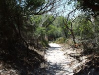 byronbay6
