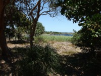 byronbay7