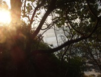 byronbay9