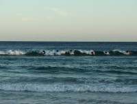 sydney3